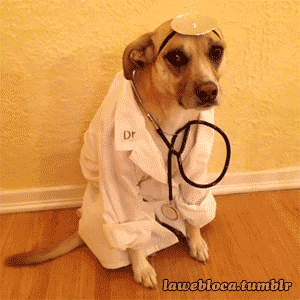Что у тебя говоришь болит?