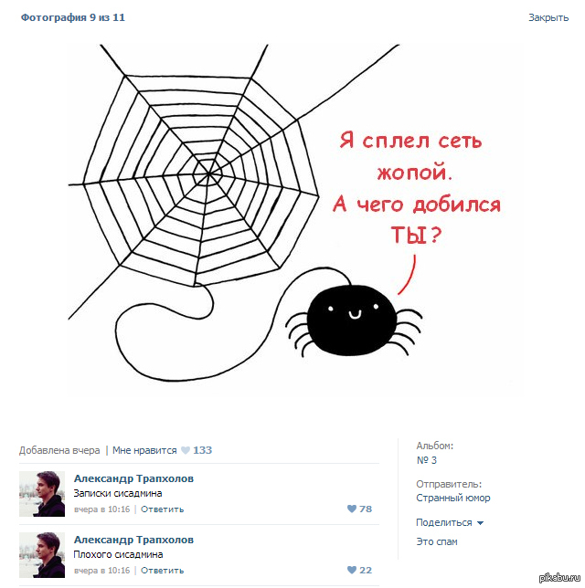 Теперь всё ясно | Пикабу