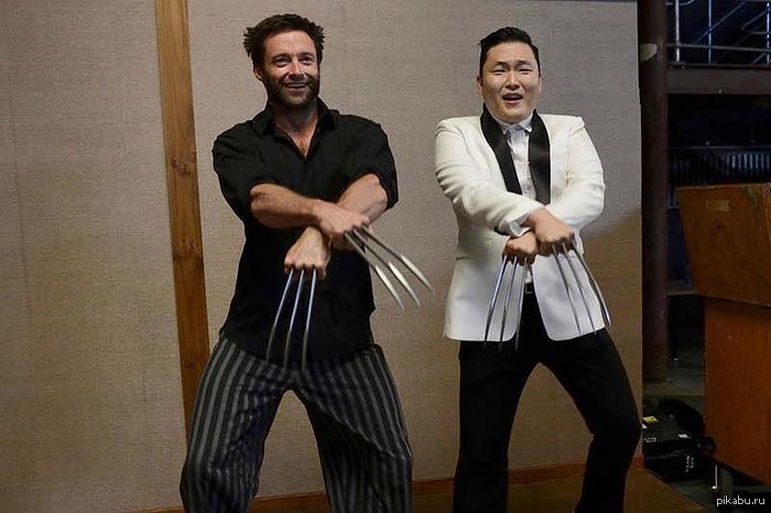 ����������...