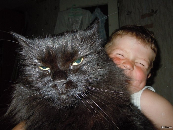 -&quot;    ...&quot;