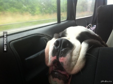 ������-��������������.