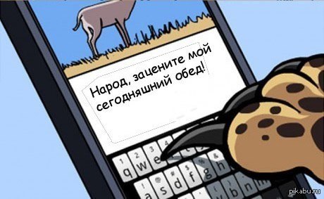 ���������� ���.