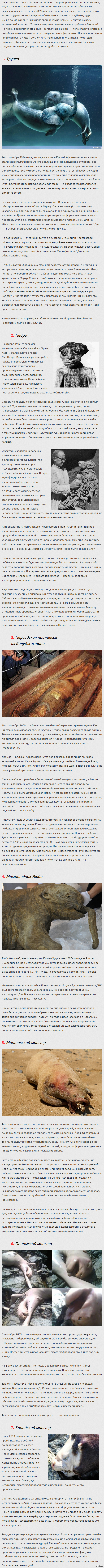 Загадки: истории из жизни, советы, новости, юмор и картинки — Лучшее,  страница 3 | Пикабу