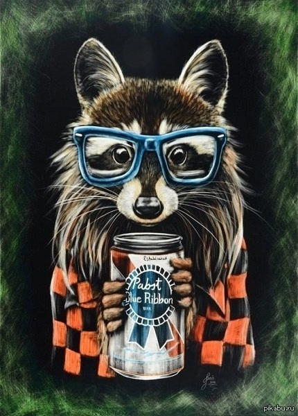 hipster raccoon :) - Hipster, Raccoon, Images