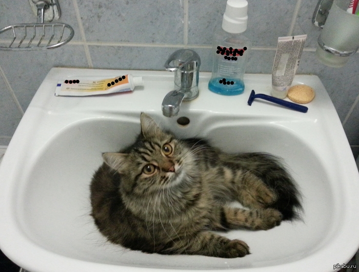 Я паркуюсь где хочу!