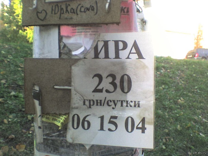 ����� ������ �������.