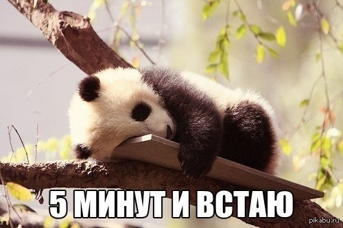 картинки мое утро онлайн картинки мое утро