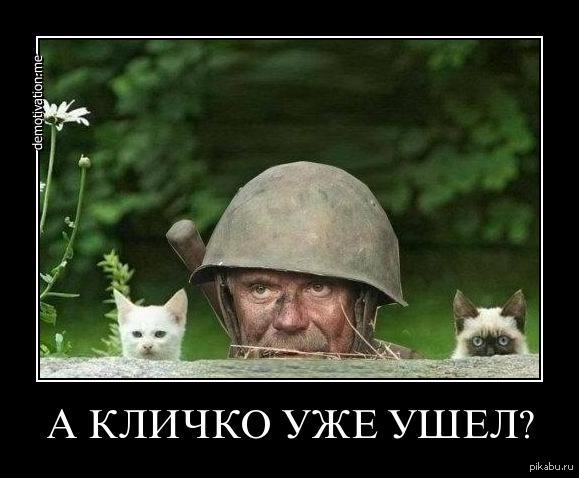 Поветкин после боя :) | Пикабу