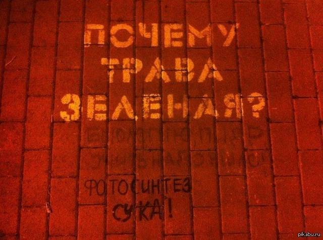 Почему трава зелёная?