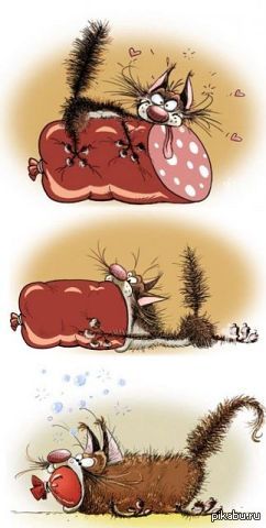 Весёлая картинка:D