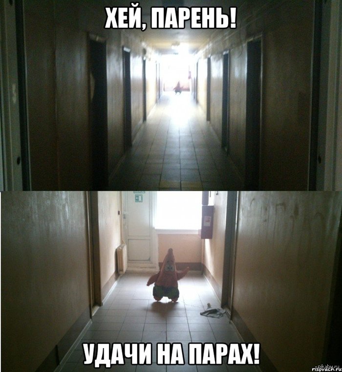         ; )   