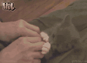 ������� ������������ ����������� ^   ^