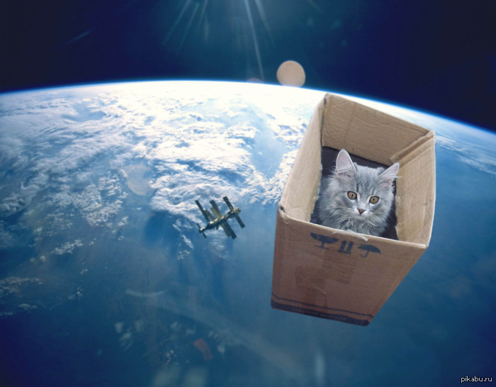 Так вот для чего им коробки