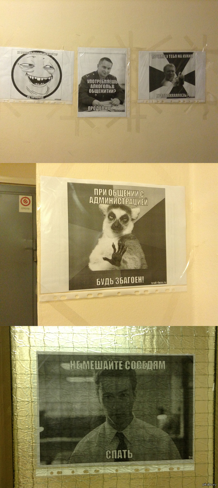 Общежитие МГУ
