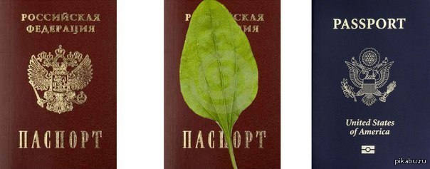 Прикольный Паспорт