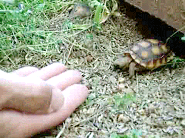 Так доверчиво..