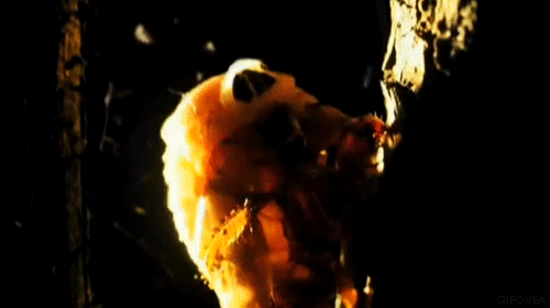 Линька цикады