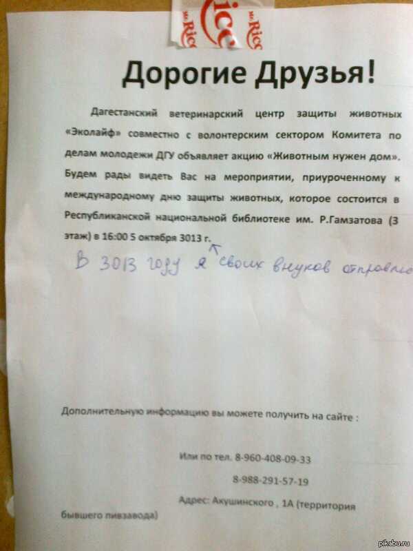 Волонтеры такие волонтеры