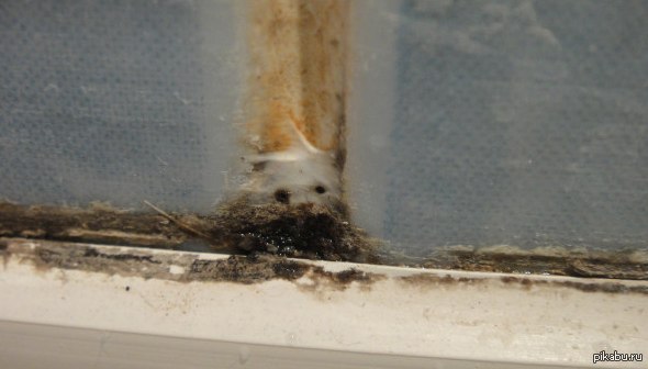 � ���� ����� �������� ���� ����� ^_^