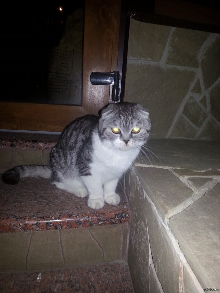 Просто хочу поделится радостью :)