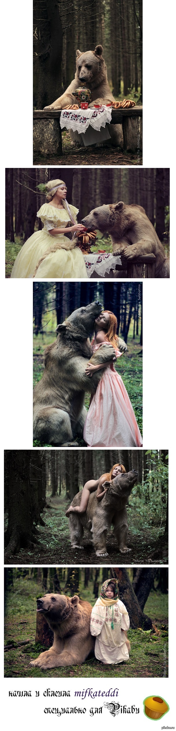 Медвежья любовь