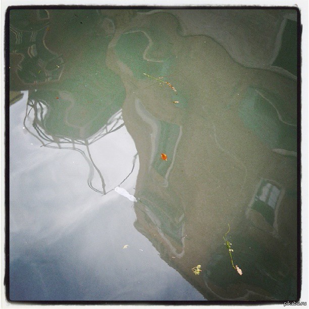 В Венеции плавают не только гандолы.