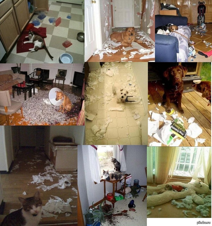 ������ �������� v.2�