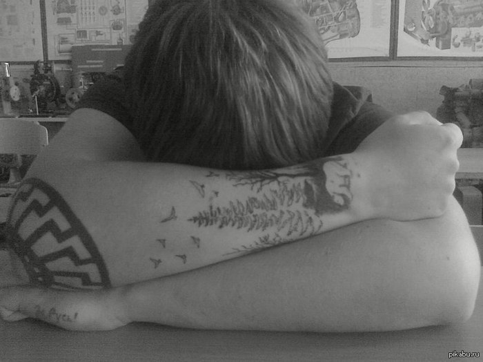  ,        ,      ,  ,    -  ?