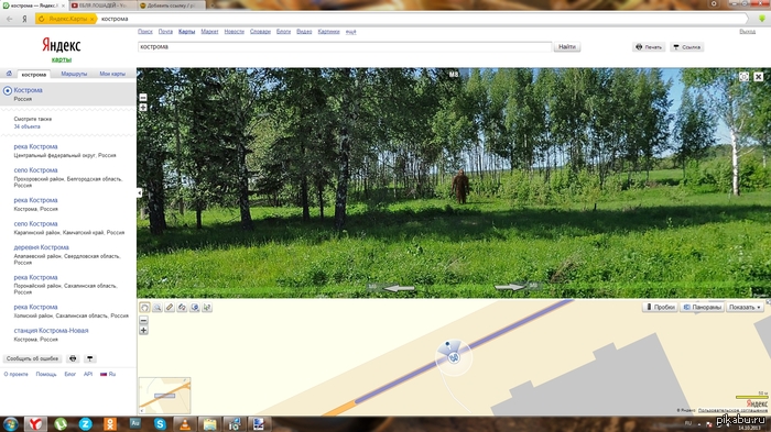 ������� ������� � ��������!