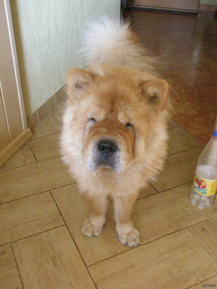 Фотошоперы помогите!