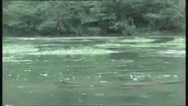 ����� ��������