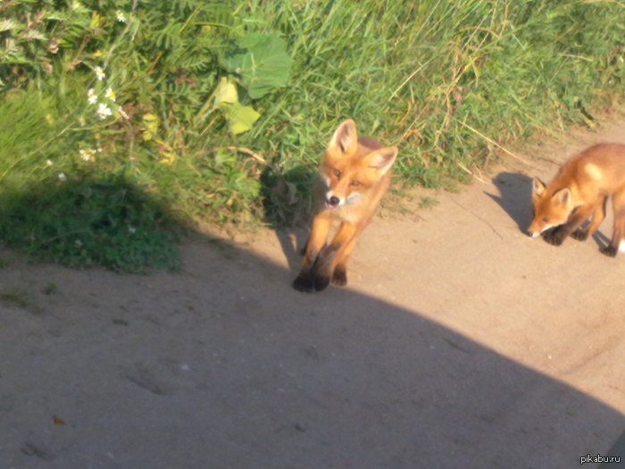 ���� � ������� ����������