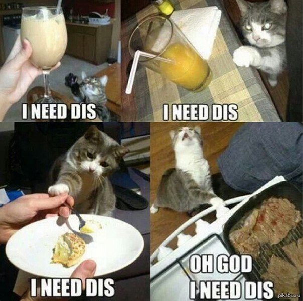 ) Dis - ,  ""  "".