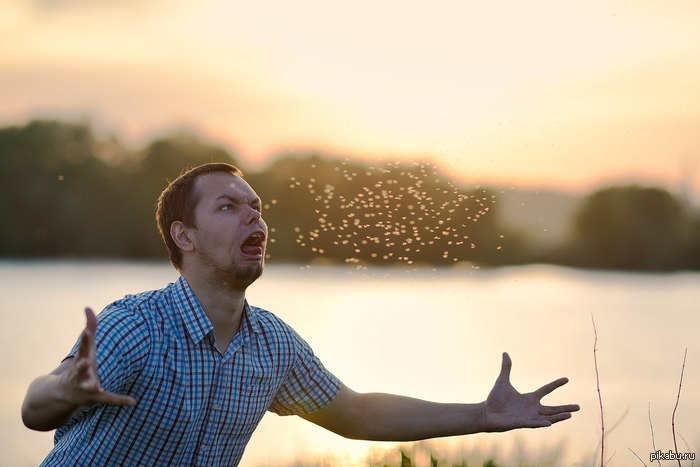 �����, �����������...