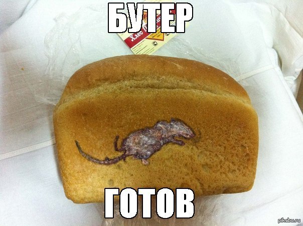 Бутерброд | Пикабу