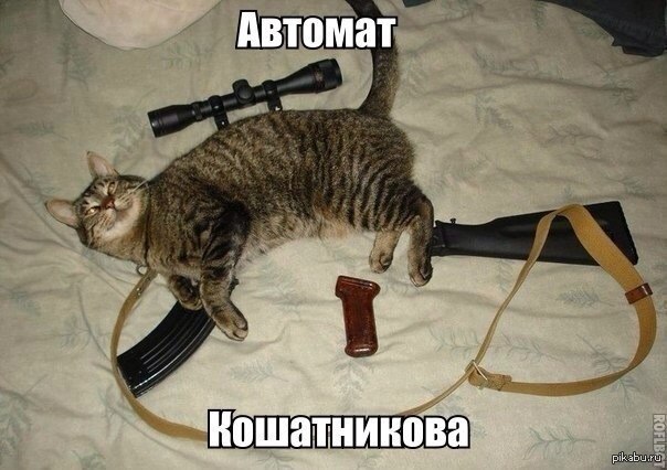 ������� �����������))