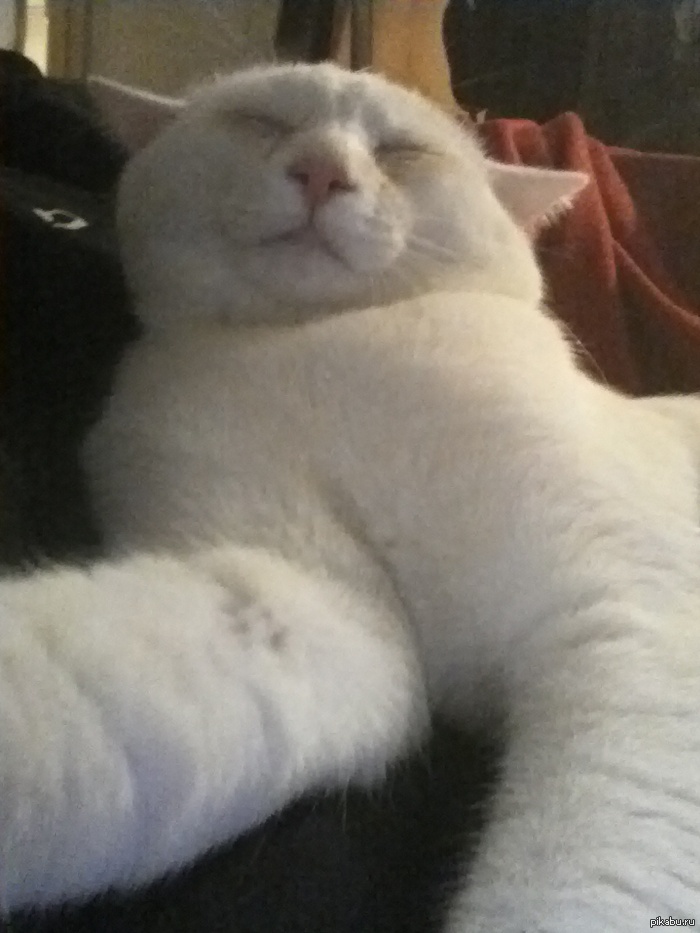 ��� ��� ������� ���� ����� � ����- "��...���� ��������"