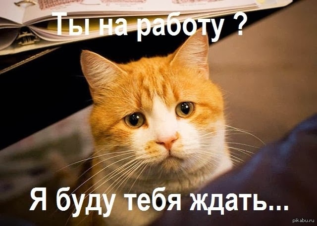 Грустьпечаль :3 | Пикабу