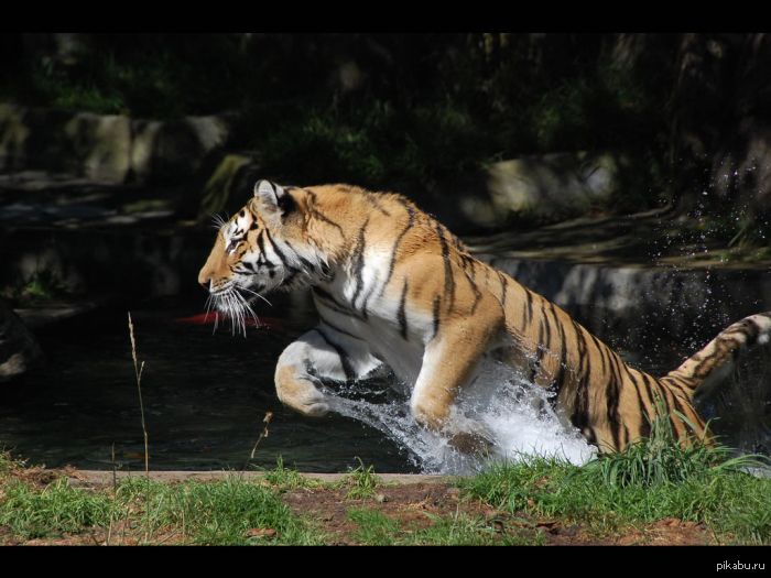 �������� ���������!