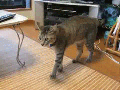       !   