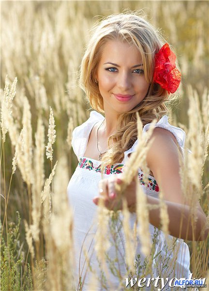 ������ ���� ������.