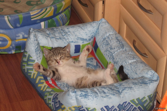 ��������� �������