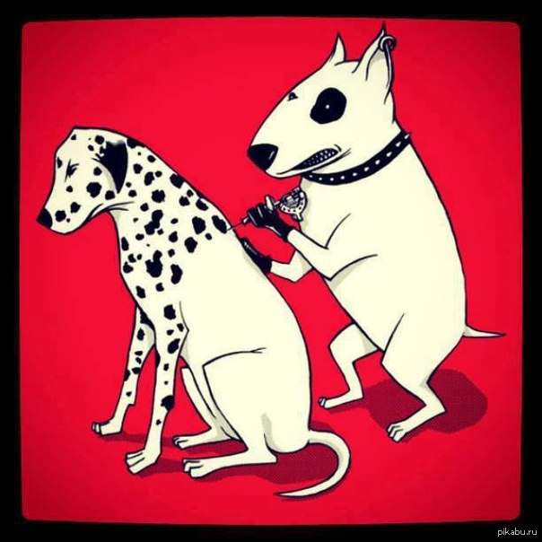 ������ ��� ���� ����� ! ��� ? ������� ��� ) !