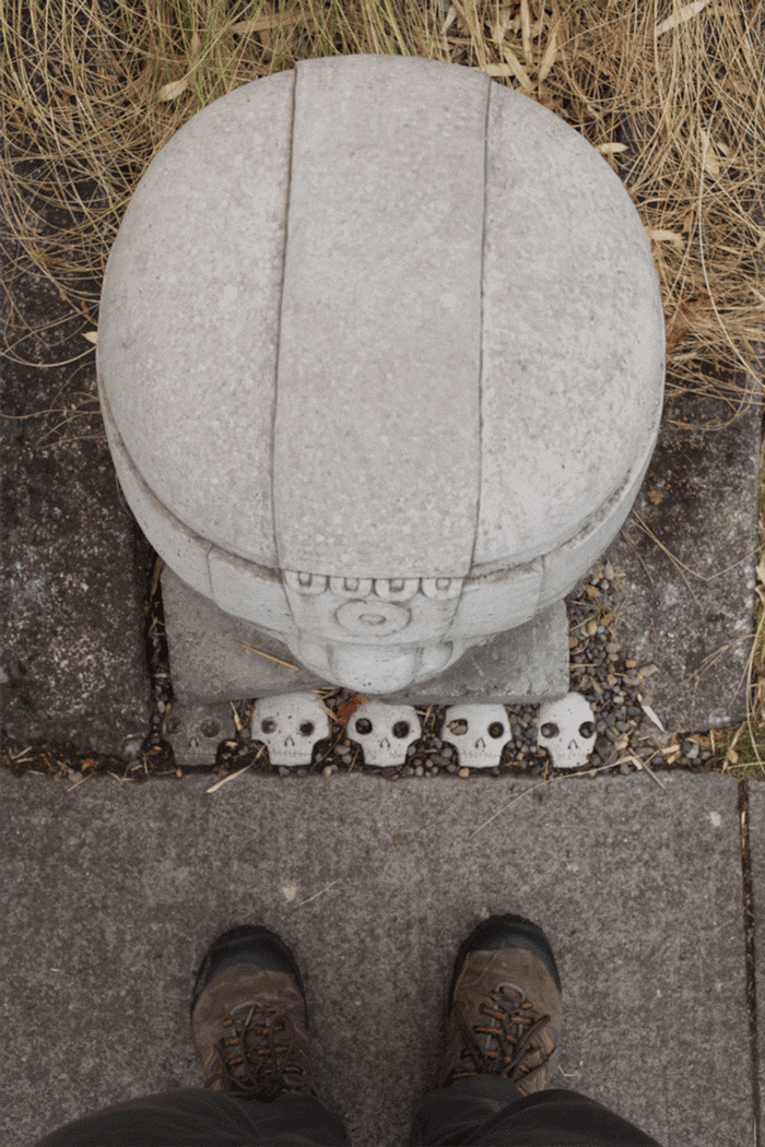 ������ � �����.