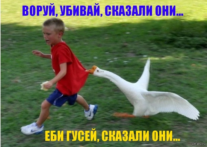 Парень решил начать с простого.