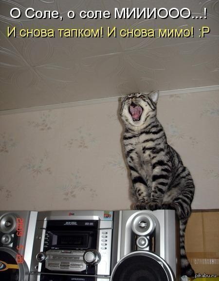 �� �� ���� ���