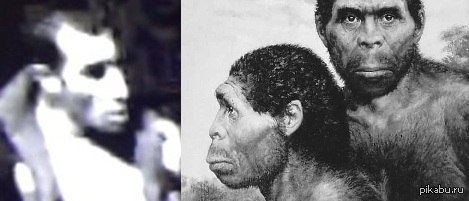 ��������.