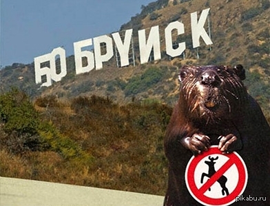 ВСЕХ ПОЗДРАВЛЯЮ С ДНЕМ БОБРА!!!