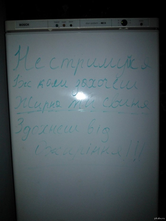 В общаге на холодильнике