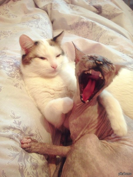 ������������